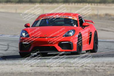 media/Oct-21-2023-Speed Ventures (Sat) [[ddf75163c5]]/Green/Grapvine/